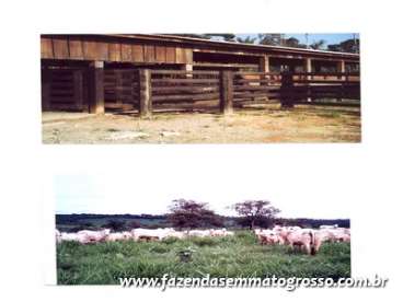 Fazenda nova bandeirantes / mt 982 alqueires