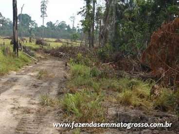 Fazenda nova bandeirantes / mt 982 alqueires