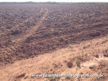 Fazenda nova brasilandia / mt 5150 hectares