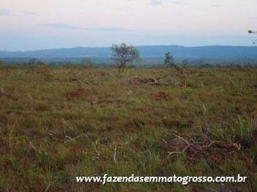 Fazenda nova brasilandia / mt 5150 hectares