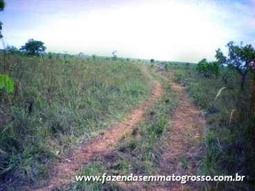 Fazenda nova brasilandia / mt 5150 hectares