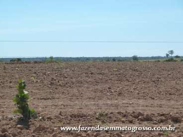 Fazenda nova xavantina / mt 20700 hectares