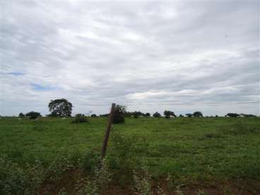 Fazenda ótima para lavoura 15812 ha