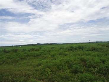 Fazenda ótima para lavoura 15812 ha