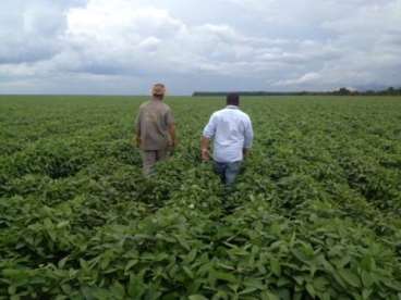 Fazenda ótima para lavoura na bahia 3.311 hectares