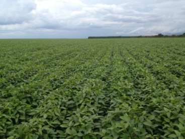 Fazenda ótima para lavoura na bahia 3.311 hectares