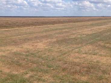 Fazenda ótima para lavoura na bahia 3.311 hectares