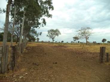 Fazenda ótima para pecuária em torixoréu 1045 ha