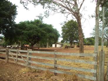 Fazenda ótima para pecuária em torixoréu 1045 ha
