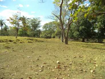 Fazenda ótima para pecuária na beira do rio diaman