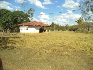 Fazenda ótima para pecuária na beira do rio diaman