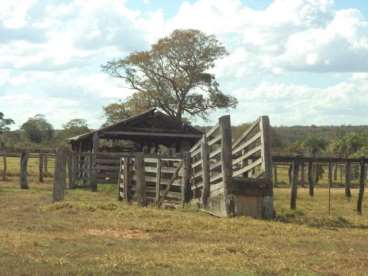 Fazenda ótima para pecuária na beira do rio diaman