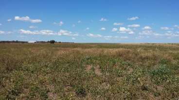 Fazenda para arrendamento em paranatinga