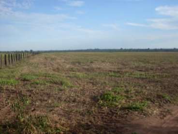 Fazenda para lavoura 2420 ha