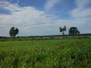 Fazenda para lavoura 2420 ha