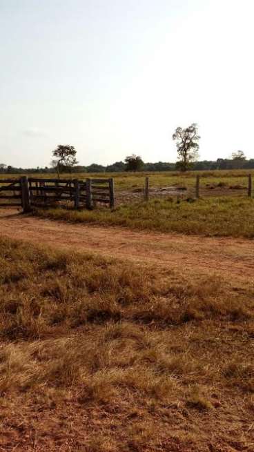 Fazenda a venda pecuária 3500 ha cuiabá-mt