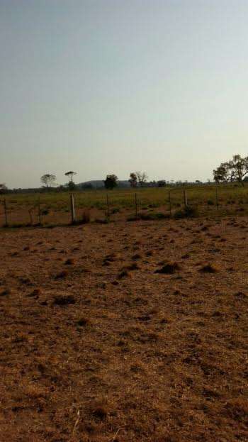 Fazenda a venda pecuária 3500 ha cuiabá-mt