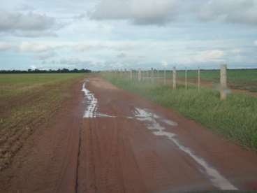 Fazenda plantando soja 2.400 hectares