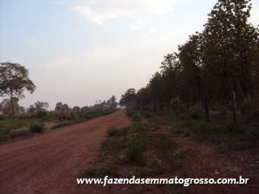Fazenda pocone / mt 1255 hectares