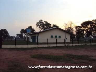 Fazenda pocone / mt 1255 hectares