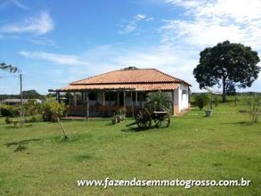 Fazenda pocone / mt 460 hectares