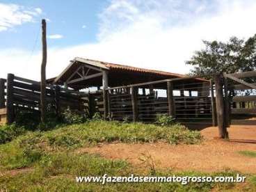 Fazenda pocone / mt 460 hectares