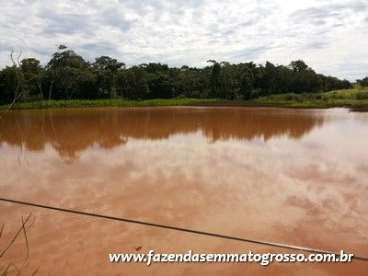 Fazenda pocone / mt 460 hectares