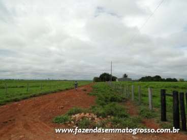 Fazenda pontes e lacerda / mt 227 alqueires