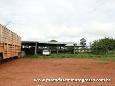 Fazenda pontes e lacerda / mt 227 alqueires