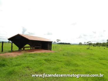 Fazenda pontes e lacerda / mt 227 alqueires