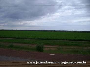 Fazenda porto alegre do norte / mt 37000 hectares