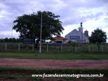 Fazenda porto alegre do norte / mt 37000 hectares