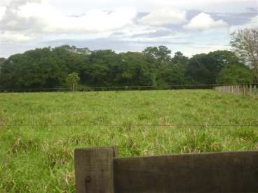 Fazenda pra lavoura e bem localizada 1284 ha