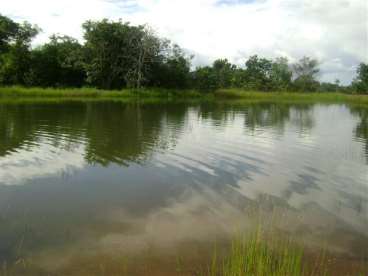 Fazenda pra lavoura e bem localizada 1284 ha