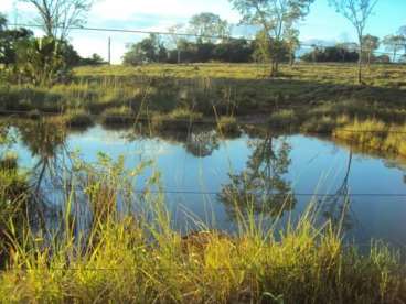 Fazenda prata mg para lavoura e pecuaria