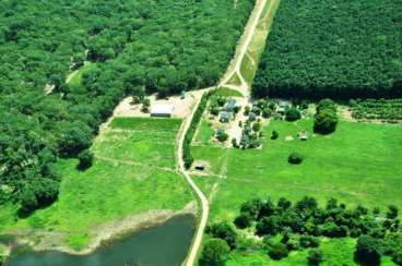 Fazenda pronta plantando seringa 350 ha