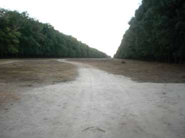 Fazenda pronta plantando seringa 350 ha