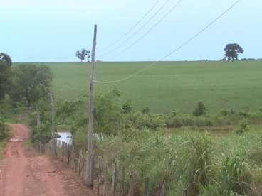 Fazenda regiao de porangatu/go