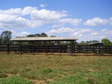 Fazenda rosario oeste / mt 230 hectares