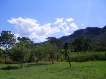 Fazenda rosario oeste / mt 230 hectares