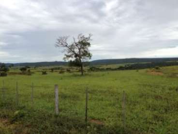 Fazenda rosario oeste / mt 2652 hectares