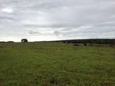 Fazenda rosario oeste / mt 2652 hectares