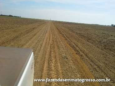 Fazenda rosario oeste / mt 2652 hectares