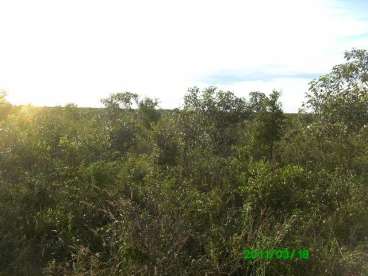 Fazenda a venda soja 13400 ha. urucuí-pi