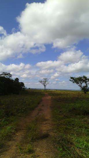 Fazenda a venda soja 17277 ha buriti bravo-ma