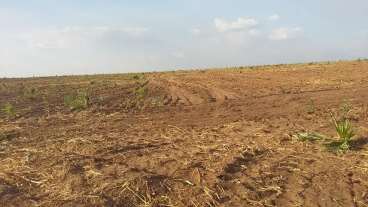 Fazenda soja a venda 2900 ha balsas-ma