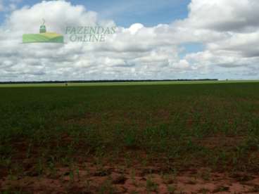 Fazenda soja 3066 hectares campo novo do parecis-m