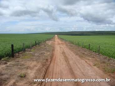 Fazenda tangara da serra / mt 967 hect.