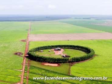 Fazenda tangara da serra / mt 967 hect.