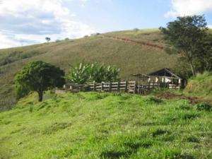 Fazendas a venda, a 8 km da cidade 5 km do asfalto